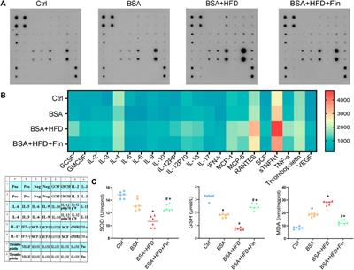 Finasteride Alleviates High Fat Associated Protein-Overload Nephropathy by Inhibiting Trimethylamine N-Oxide Synthesis and Regulating Gut Microbiota